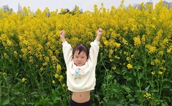 中国好声音 规则